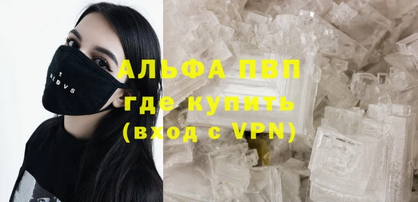 крисы Алексин