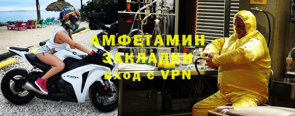 шишки Абаза
