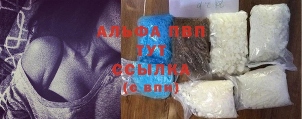 PSILOCYBIN Нефтегорск