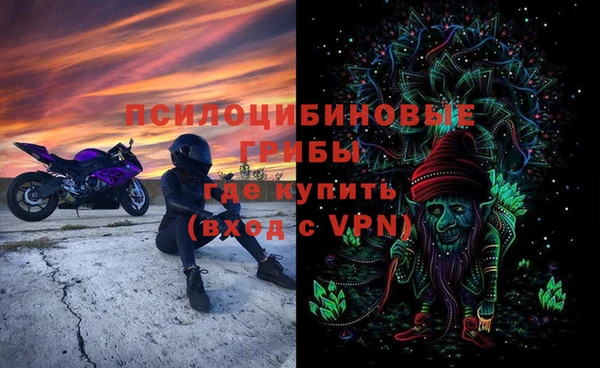 индика Арсеньев