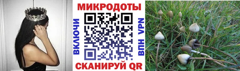 Псилоцибиновые грибы мухоморы даркнет сайт Мегион